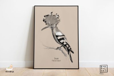 hoopoe drawing - artistic poster