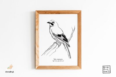 jay drawing - artistic poster